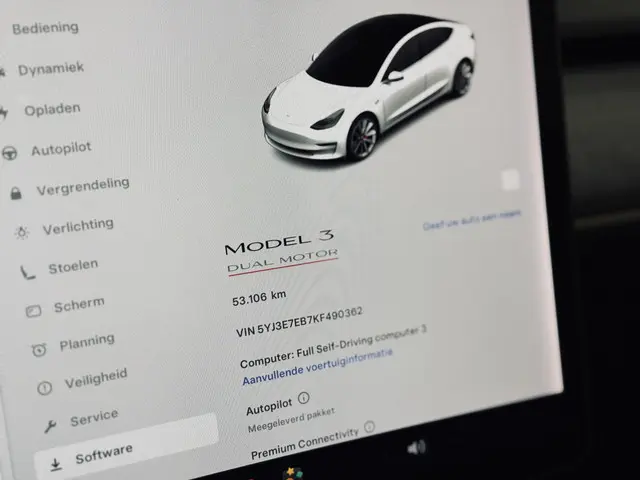 Tesla Model 3 Performance AWD 75 kWh 2019 Elektrisch 20
