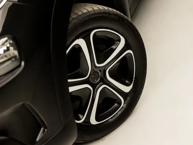 Citroën C4 Cactus 1.2 PureTech Sport 2020 Benzine 14