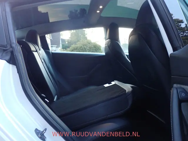 Tesla Model 3 Performance AWD 75kWh 2020 Elektrisch 30