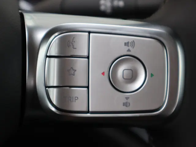 Smart #1 Pure+ 66 kWh 2025 Elektrisch 14