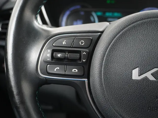 Kia e-Niro Edition 64 kWh 2021 Elektrisch 27