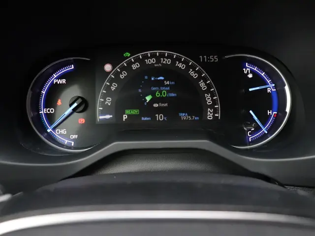 Toyota RAV4 2.5 Hybrid Style 2019 Hybride Benzine 29