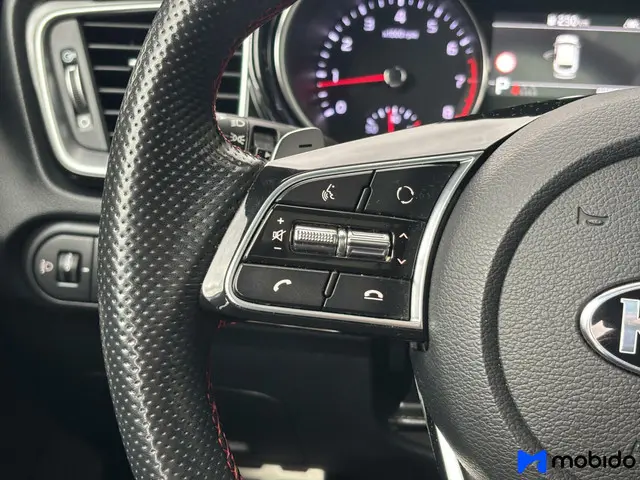 Kia ProCeed 1.6 T-GDI | GT | Camera | 2019 Benzine 15