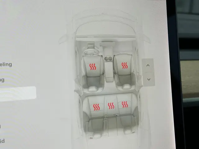 Tesla Model 3 Long Range AWD 75 kWh 2019 Elektrisch 14