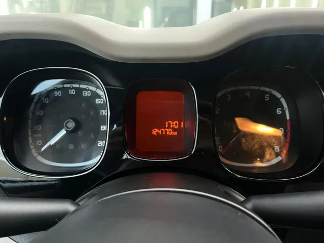 Fiat Panda 1.2 Sempre Prachtige staat 2013 Benzine 9