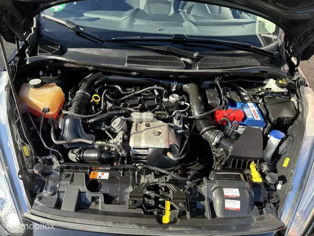 Ford Fiesta 1.0 EcoBoost Titanium 2015 Benzine 10