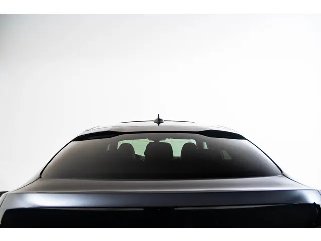 BMW X4 xDrive20i 2020 Benzine 27