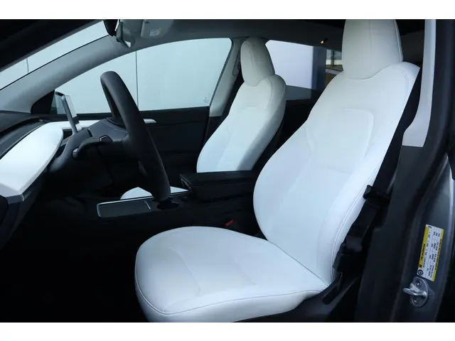 Tesla Model Y Long Range AWD 75 kWh 2023 Elektrisch 11