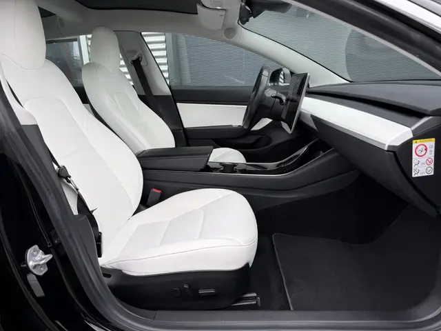 Tesla Model 3 Long Range AWD 75 kWh 2019 Elektrisch 25