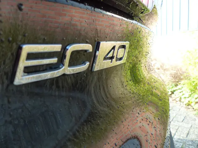 Volvo EC40 Extended Range Plus 82 kWh 2025 Elektrisch 26