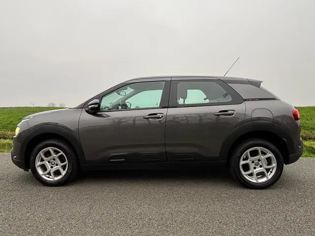 Citroën C4 Cactus 1.2 PureTech Business 2019 Benzine 5