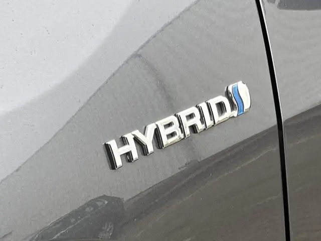 Toyota RAV4 2.5 Hybrid AWD Style 2022 Hybride Benzine 51
