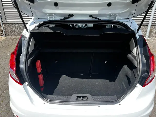 Ford Fiesta 1.0 White Edition 2015 Benzine 22