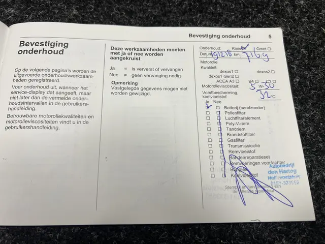 Opel Corsa 1.0 Turbo Black Roof Edition 2017 Benzine 37