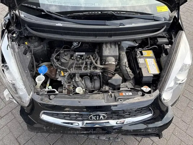 Kia Picanto 1.0 CVVT DynmicLine, Clima, LED 2016 Benzine 25
