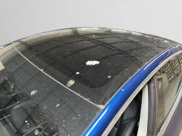 Tesla Model 3 Long Range AWD 75 kWh 2019 Elektrisch 5