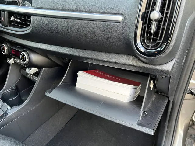 Kia Picanto 1.0 CVVT Design Edition 2019 Benzine 24