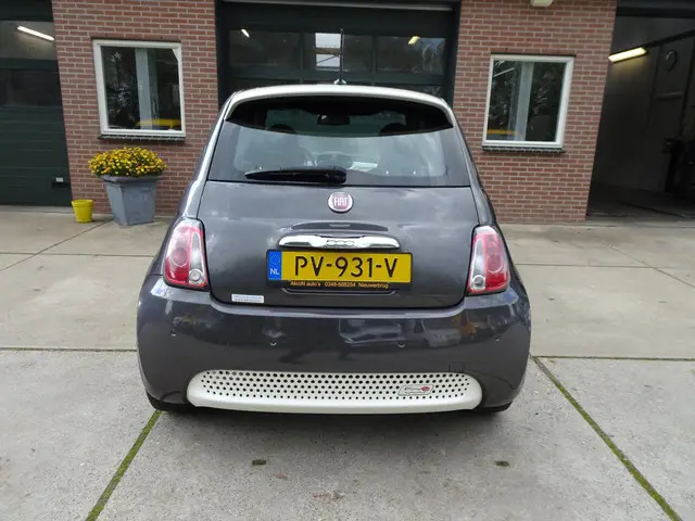 Fiat 500e 24kwh 2014 Elektrisch 8