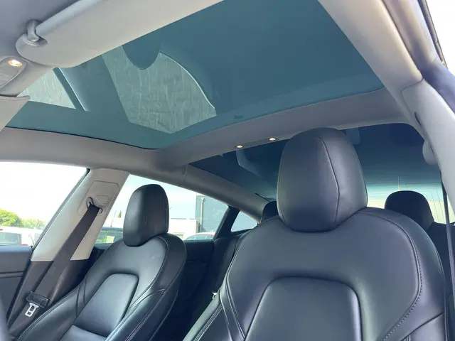 Tesla Model 3 Performance AWD 75 kWh 2019 Elektrisch 12