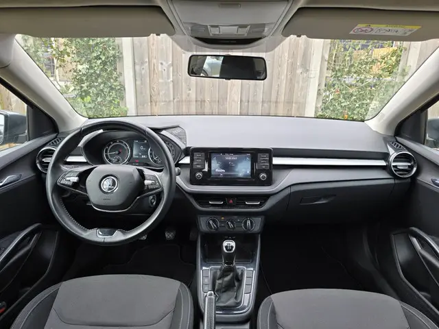 Škoda Fabia 1.0 TSI Business Edition 2021 Benzine 15