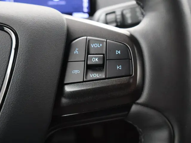 Ford Mustang Mach-E 75kWh LUCID RED 2020 Elektrisch 31