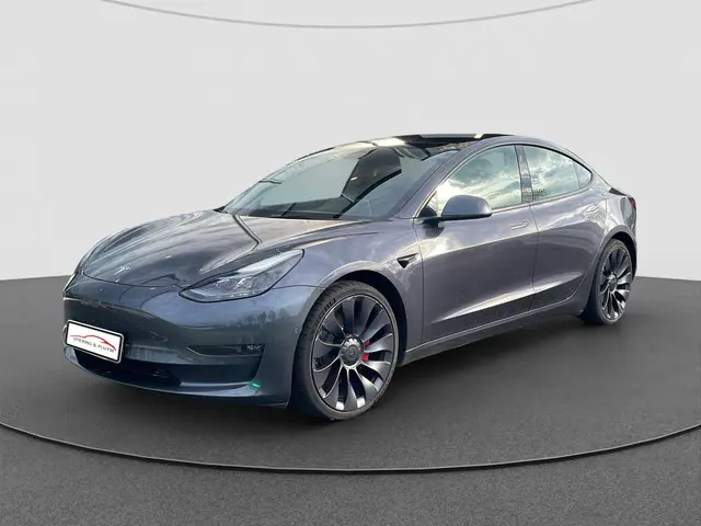 Tesla Model 3 Performance AWD 75 kWh 2022 Elektrisch 7