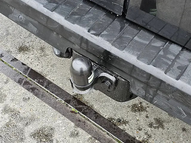 Renault Trafic 2.0 DCI 2019 Diesel 14