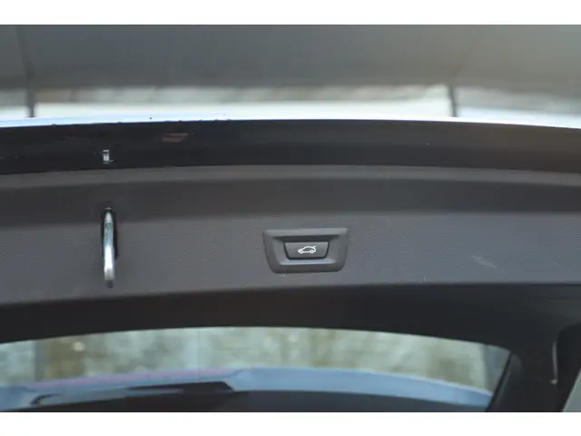 BMW iX3 EXECUTIVE 80 KWH 2021 Elektrisch 46