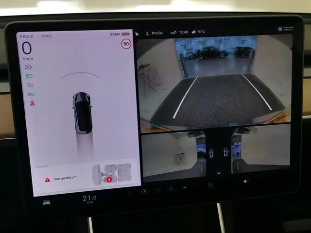 Tesla Model 3 Standard RWD Plus 60 kWh 2020 Elektrisch 7