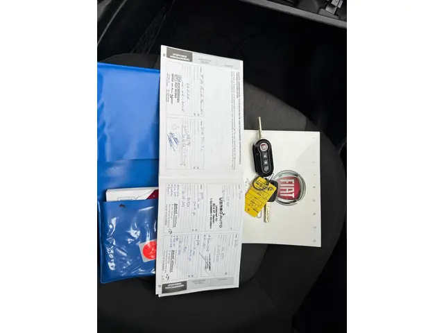Fiat Punto Evo 0.9 TwinAir Young ((( 105.000 km ))) 2014 Benzine 10