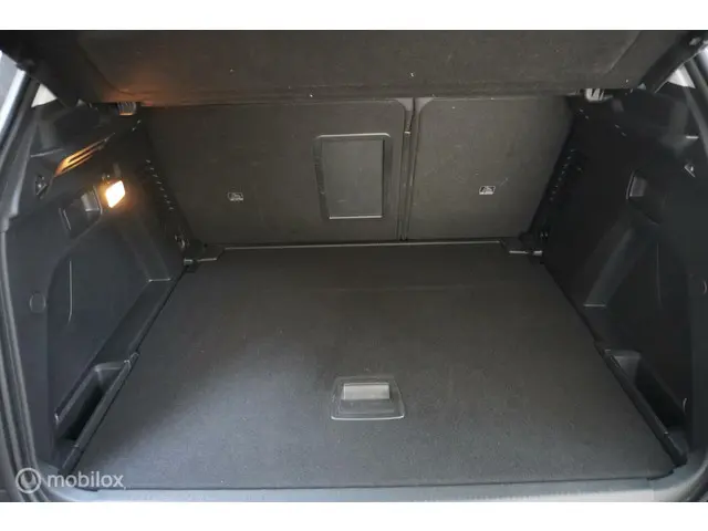 Peugeot 3008 1.2 PureTech Allure 2019 Benzine 30