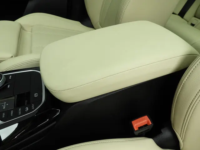 BMW X3 xDrive30e 2024 Hybride Benzine 23