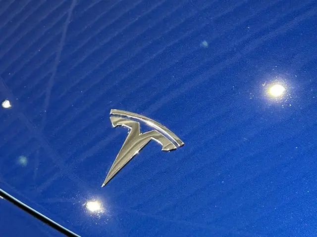 Tesla Model 3 Standard RWD Plus 60 kWh 2020 Elektrisch 21