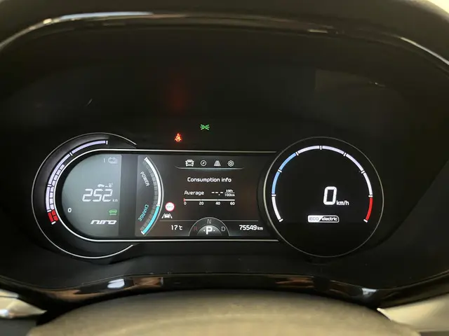 Kia e-Niro ExecutiveLine 64 kWh 2020 Elektrisch 19