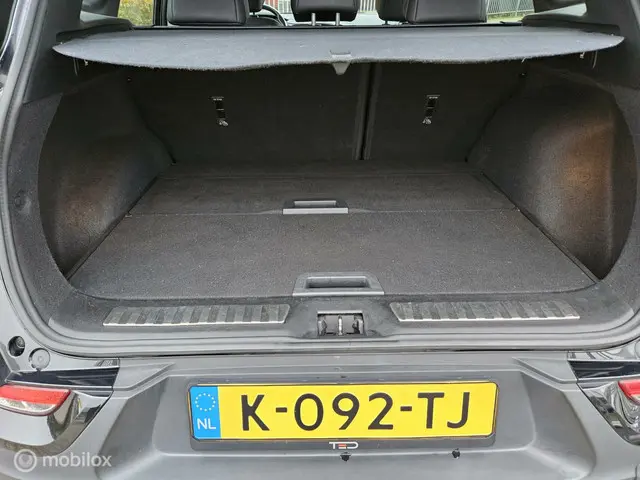 Renault Kadjar 1.3 TCe Intens 2019 Benzine 21