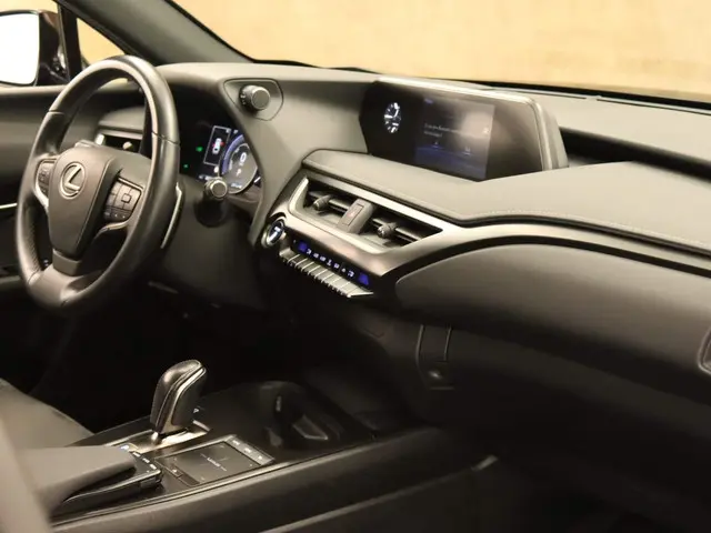 Lexus UX 300e Business 54 kWh 2020 Elektrisch 21