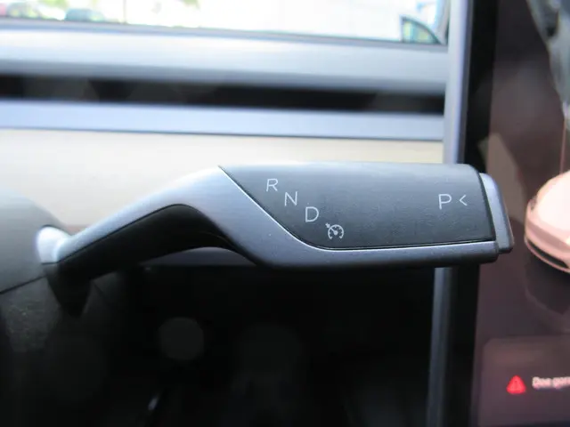 Tesla Model Y Long Range AWD 75 kWh 2022 Elektrisch 24