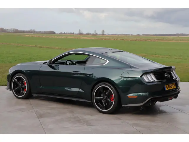 Ford Mustang Fastback Bullitt 2019 Benzine 24