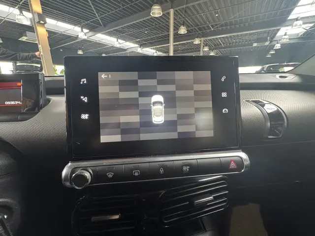 Citroën C4 Cactus 1.2 PureTech Business 2019 Benzine 20