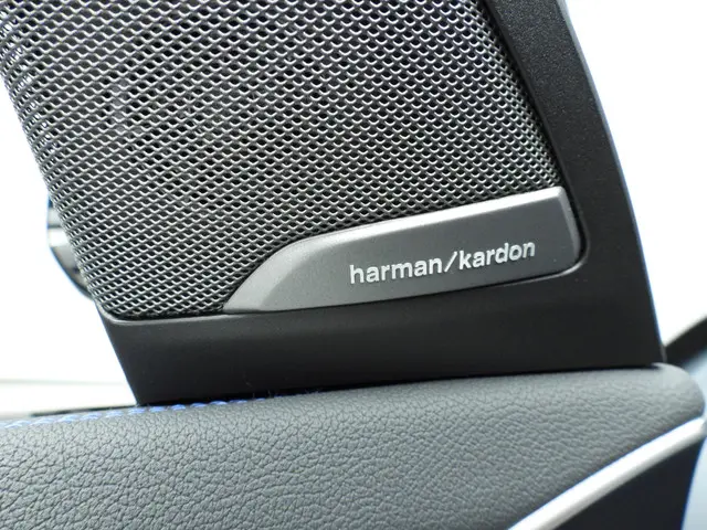 BMW X3 xDrive30d 2024 Diesel 25