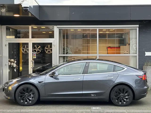 Tesla Model 3 Long Range AWD 75 kWh 2019 Elektrisch 2