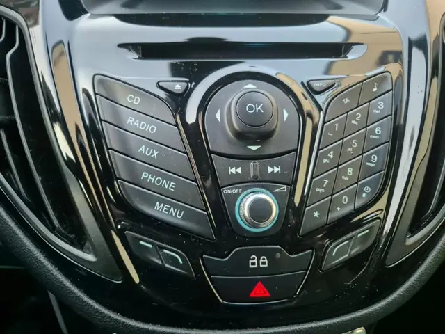 Ford B-MAX 1.0 EcoBoost Titanium 2013 Benzine 12