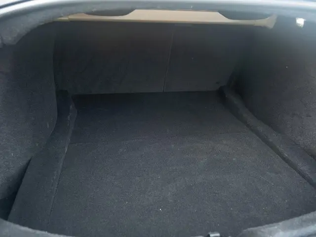 Tesla Model 3 RWD 60 kWh 2024 Elektrisch 10