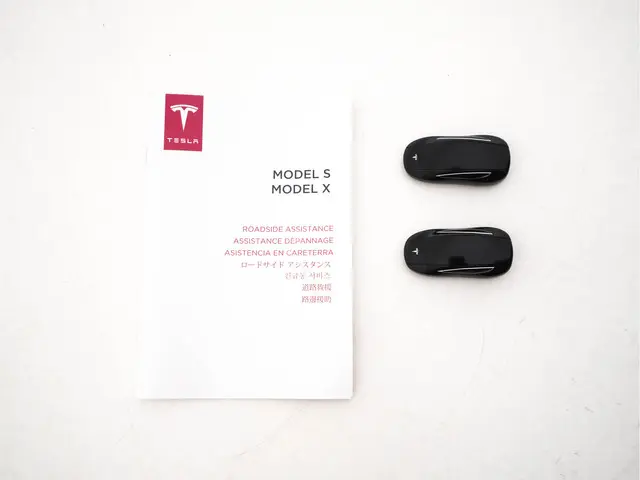 Tesla Model X 100D AWD [ 3-Fase ] 2018 Elektrisch 31