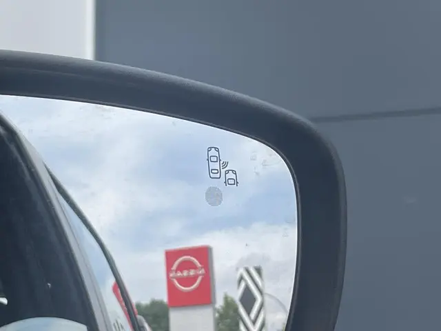 Nissan Leaf Acenta 40 kWh 2020 Elektrisch 13