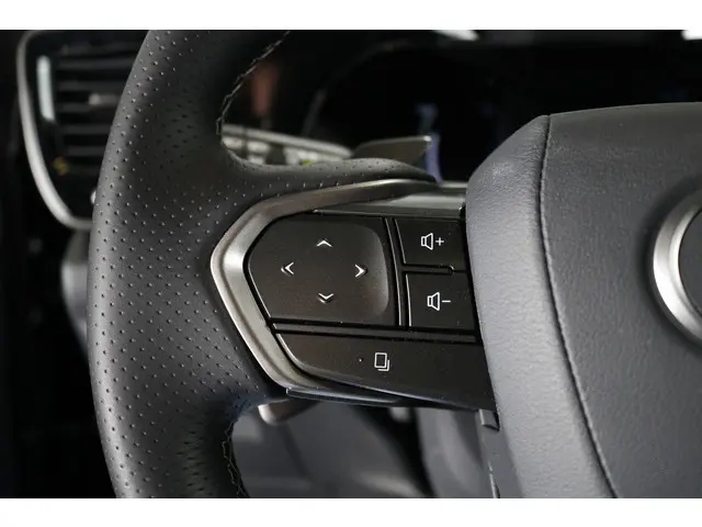 Lexus NX 450h+ AWD F SPORT Line 2025 Hybride Benzine 19