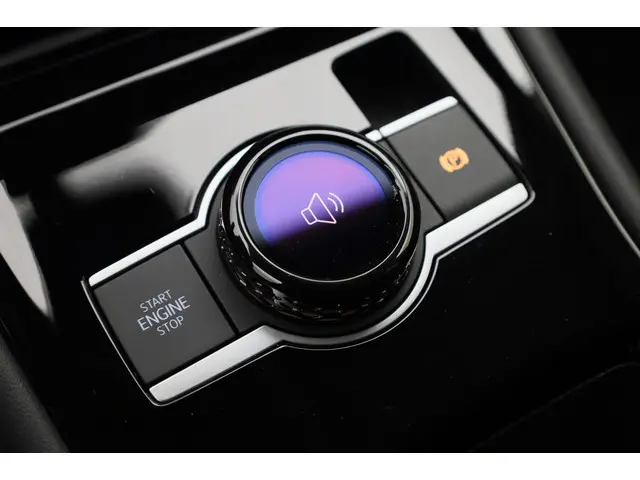 Volkswagen Tiguan Elegance 1.5 110 kW/150PK 2024 Benzine 25