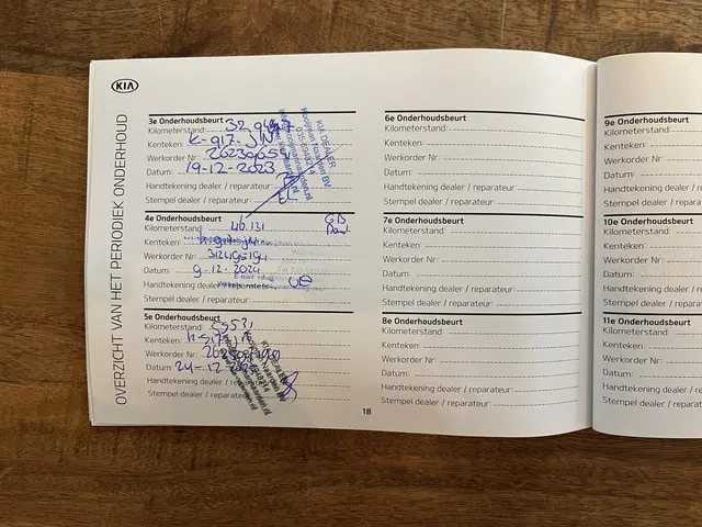 Kia e-Niro DynamicLine 64 kWh 2020 Elektrisch 40