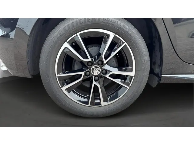 Škoda Fabia 1.0 TSI Monte Carlo 2024 Benzine 13