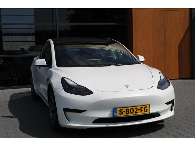 Tesla Model 3 Standard RWD Plus 60 kWh 2022 Elektrisch 12